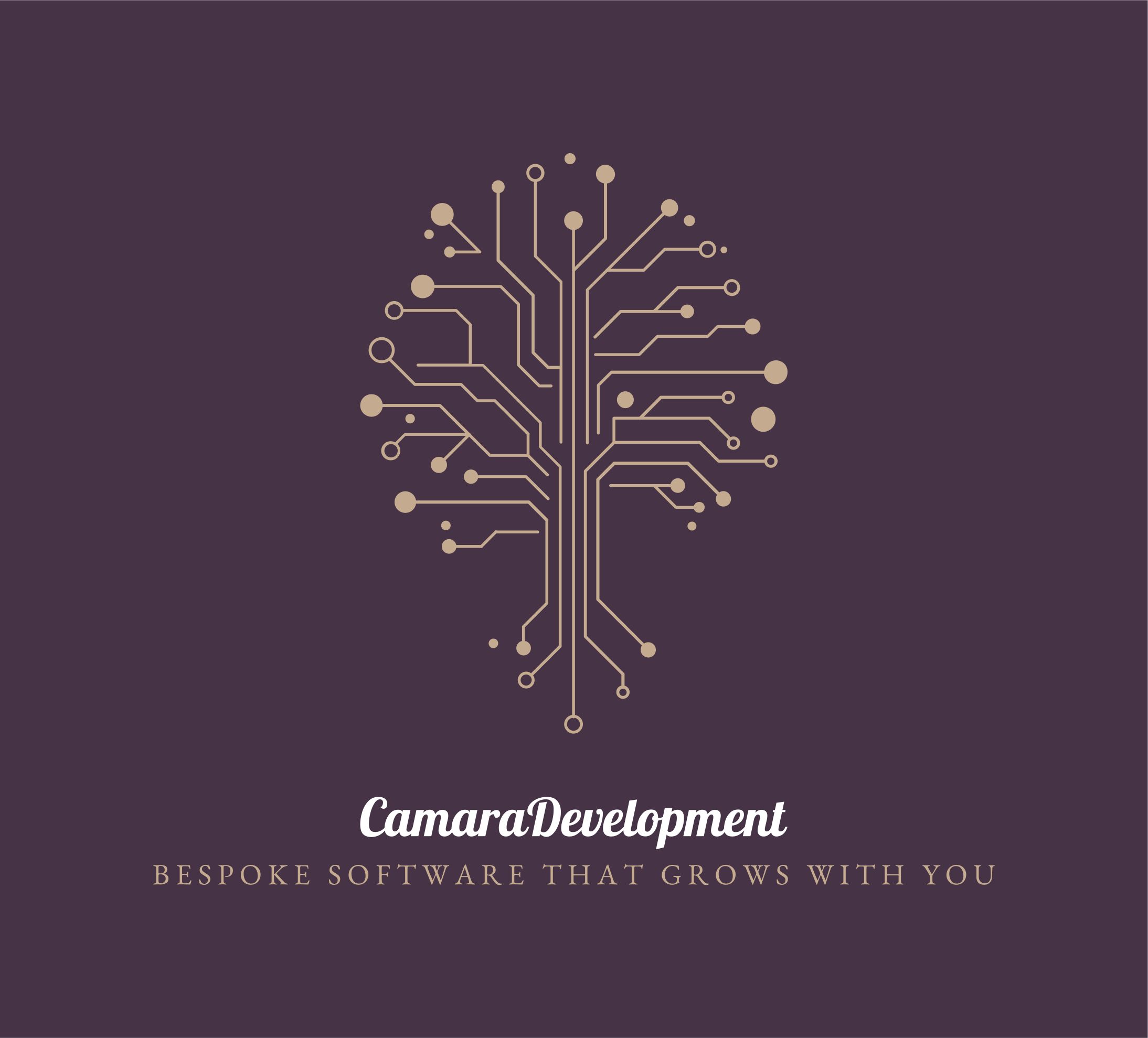 CamaraDevelopment Logo - Custom IT Solutions Provider